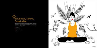 Raojee Palladium Plus Brochure 8