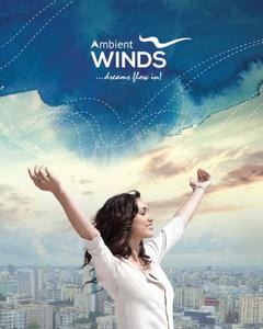 Ambient Winds Brochure 1