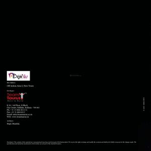 Team Deja Vu Brochure 13