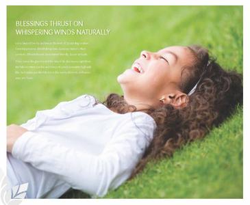 Elegant Whispering Winds Brochure 9