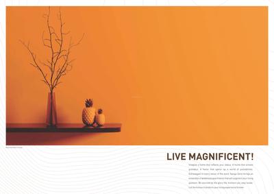 Goel Serio Brochure 2