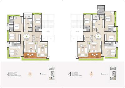 Strut Arcadia 77 Brochure 14