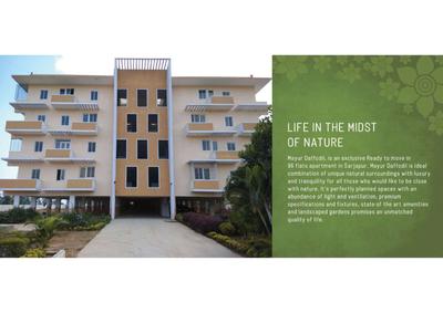 Mayur Daffodil Brochure 2