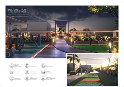 Strut Arcadia 77 Brochure 9