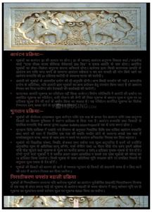 Jupiter Commanders Enclave Brochure 11