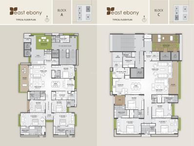 True East Ebony Brochure 5