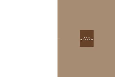 ACE Divino Brochure 11