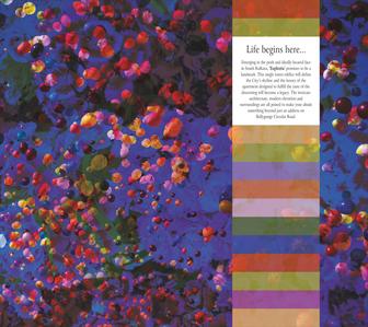 Multicon Euphoria Brochure 2