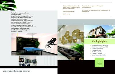 Ayyanna Pristine Brochure 11