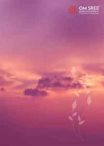 Om Sree Skypark Brochure 41