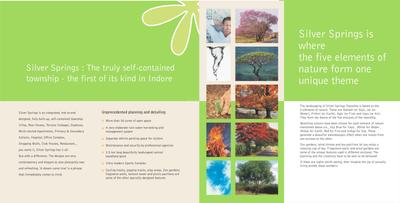 Silver Springs Phase 2 Brochure 4