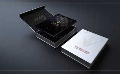 Diamond City  Brochure 2