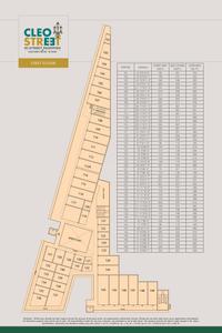 ABA Cleo County Brochure 13