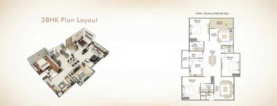 Belief Augustus Brochure 32
