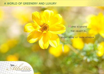 Shivtara Tara Athena Brochure 4