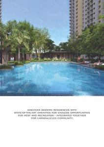 Alembic Cloud Forest Brochure 20