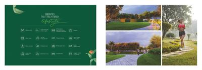 Emerald Paradise Cove Brochure 18