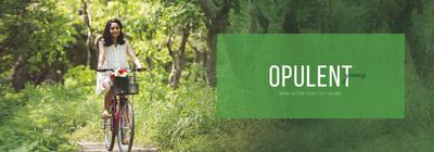 Emerald Paradise Cove Brochure 11