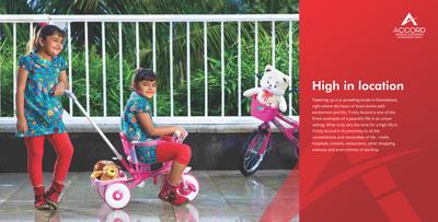 Trinity Accord Brochure 5