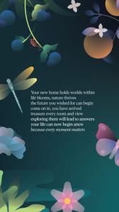 Levonor Egeira Brochure 2
