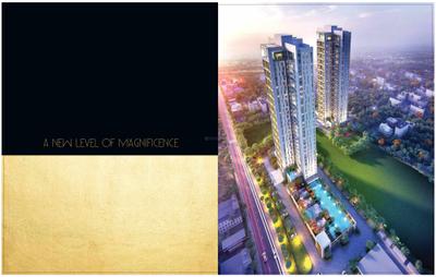 PS Aurus Brochure 4