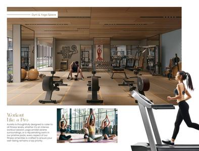 Aurelia Brochure 9