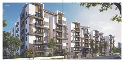 Alpine GMR Springfields Brochure 3
