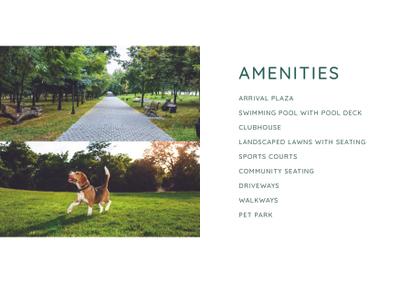 Embassy Verde Brochure 13