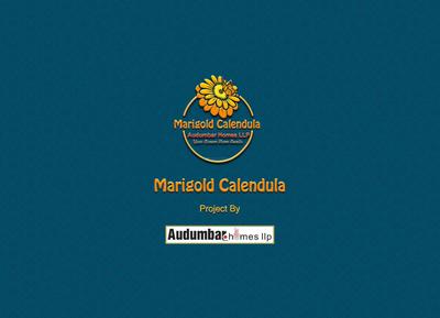Marigold Calendula Brochure 1
