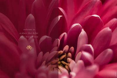 Agarwal Florence Brochure 2