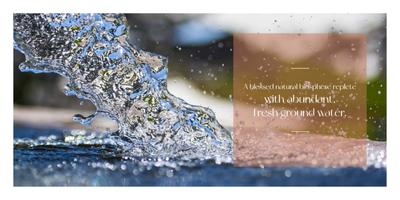 True Blue Napa Valley Brochure 7
