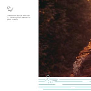 Pristine Prolife III Brochure 10