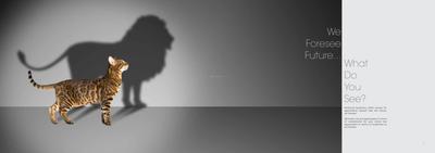 Profound Symphony Brochure 3