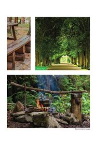 Arvind Forreste Brochure 8