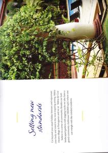 Dynamix Aldeia De Brochure 9