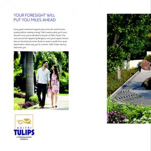 Aditri Tulips Brochure 12