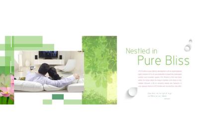 ATS Pristine Brochure 6