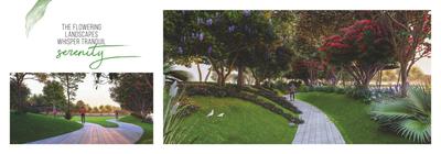Emerald Paradise Cove Brochure 13