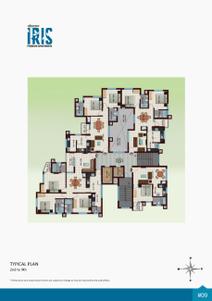 Crescent Iris Brochure 11