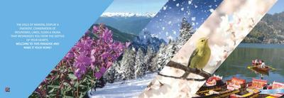 Exalter Mountain View Brochure 4