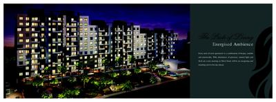 Silver Stone Brochure 5