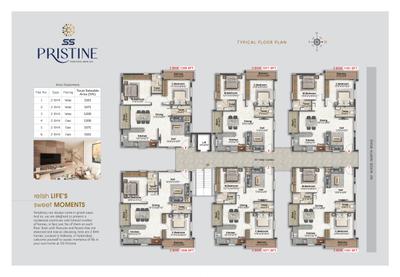 SS Pristine Brochure 3