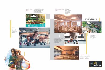 Icons Alta Monte Brochure 4