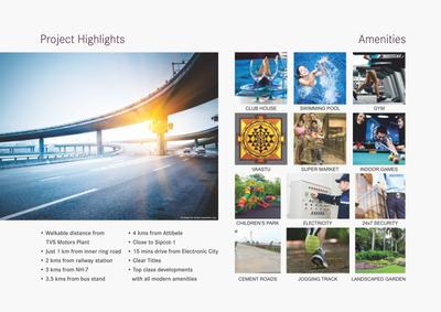 Mitta Iris Brochure 10