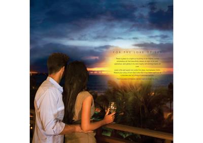 Saanvi Sky One Brochure 4