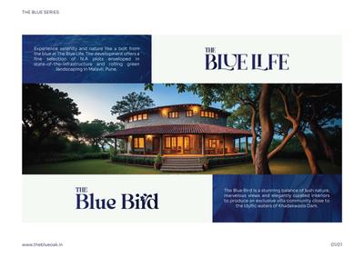 The Blue Oak Brochure 29