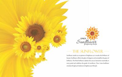 Image of 1709 Sq.ft 3 BHK Apartment / Flat for sale in Linea Sunflower, Kengeri, Bengaluru for Rs. 12500000