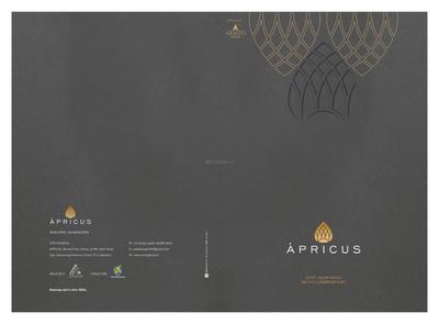 Apricus Brochure 1