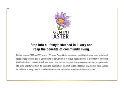 Arboretum Gemini Aster Brochure 3