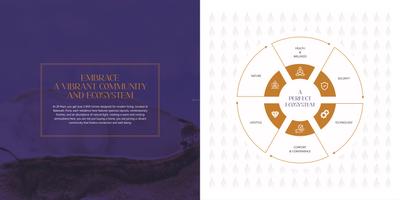 28 Pearl Brochure 3